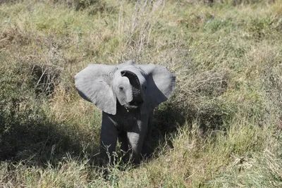 DSC_3874 (Large).JPG